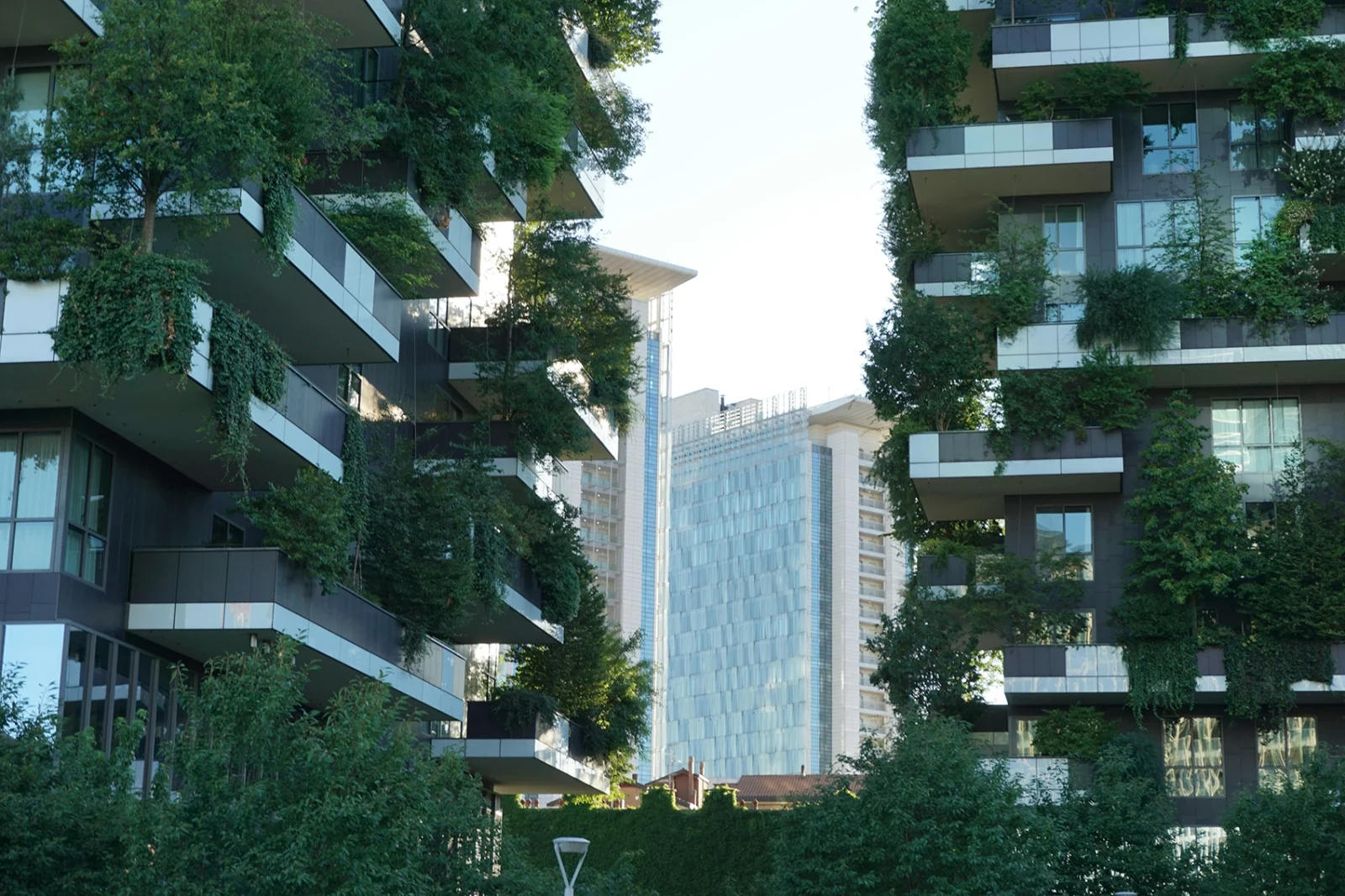 ambiance-amo-batiment-avec-plantes-architecture-d'interieur-a-labenne-dessein-de-toit